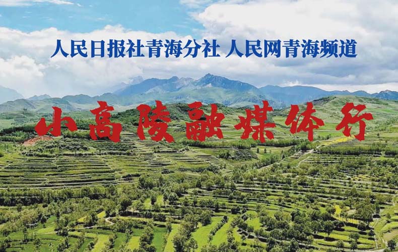 �����Ո����ຣ���� ����W�ຣ�l��С������ý�w��