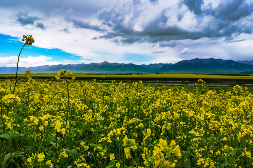 �ຣ�TԴ���Ͳ˻��������ۡ�8��