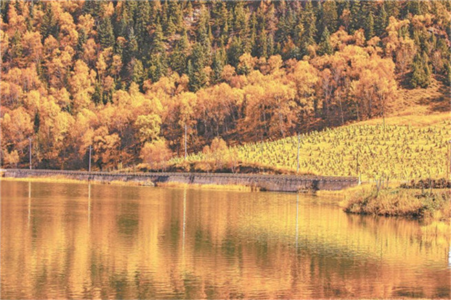 ���o(h��)�T�R�^��ć��ҹ��@