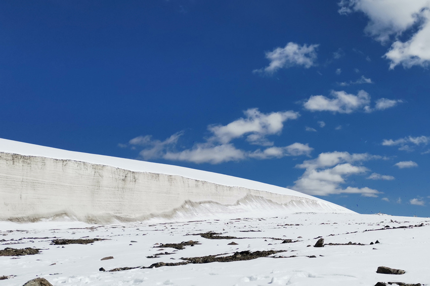 ��һ���� ��ѩ� �z