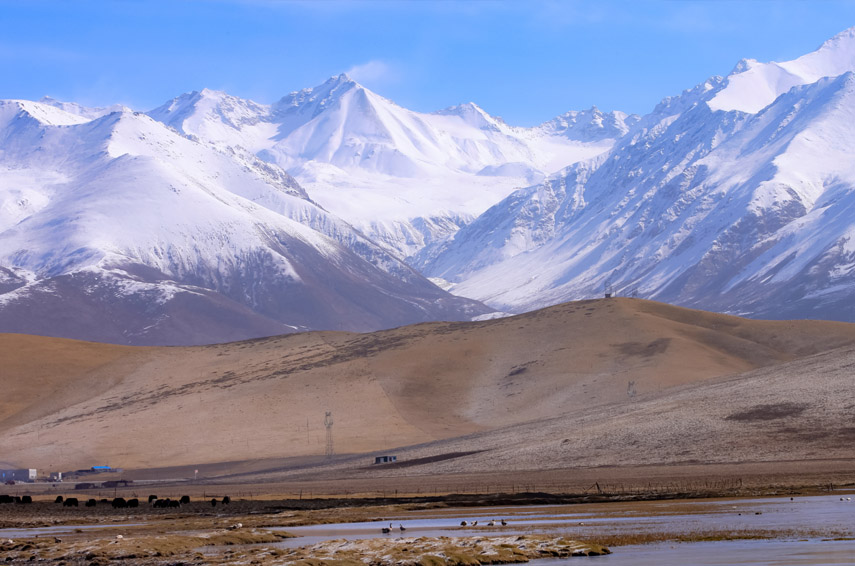 ѩɽ�µĴ�ͨ�ӣ����T�Σ�����Ԫ��z