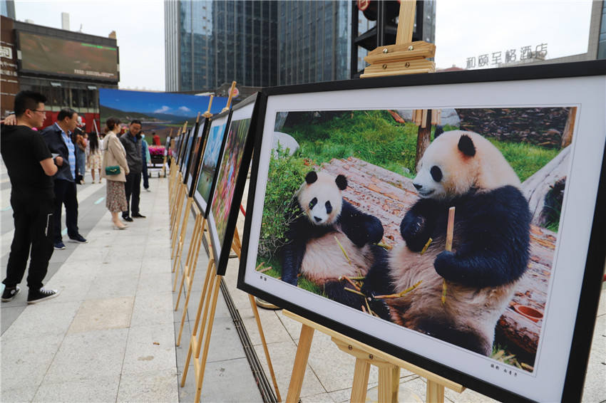 չ�[�F(xi��n)��(ch��ng)�� ������z