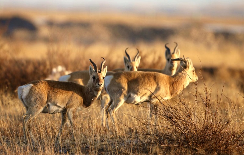 ��(du��)���硣�����ޔz