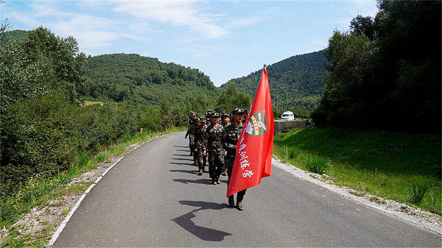 ͽ������������z