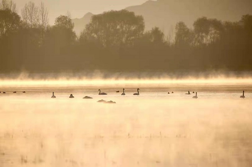 ��(sh��)��ֻ�����Z�w�����S�����������¡��Խ���������z