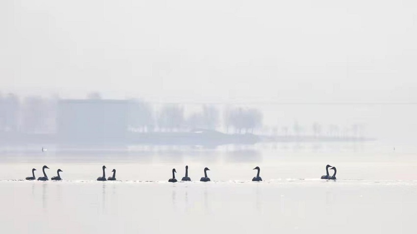 ����ֻ�����Z�w�����S�����������¡��Խ���������z