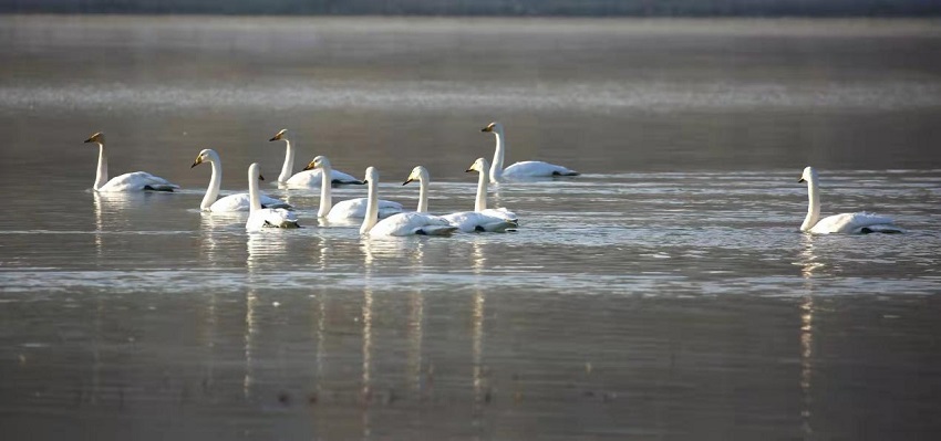 ��(sh��)��ֻ�����Z�w�����S�����������¡��Խ���������z