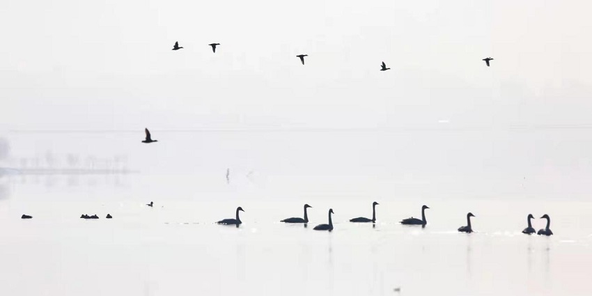 ��(sh��)��ֻ�����Z�w�����S�������ຣ��¡��Խ���������z