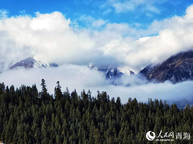 ���Bɽ�紺�L(f��ng)������ѩ比z