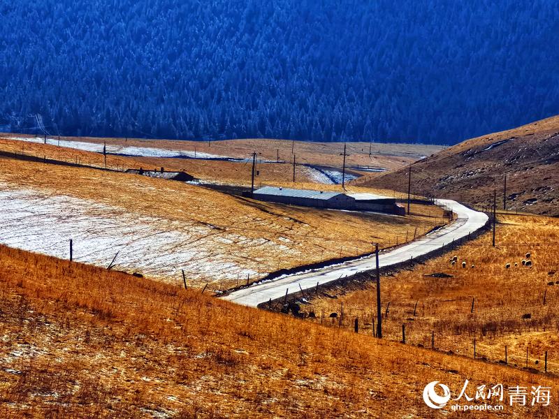 ���Bɽ�紺�L(f��ng)������ѩ比z