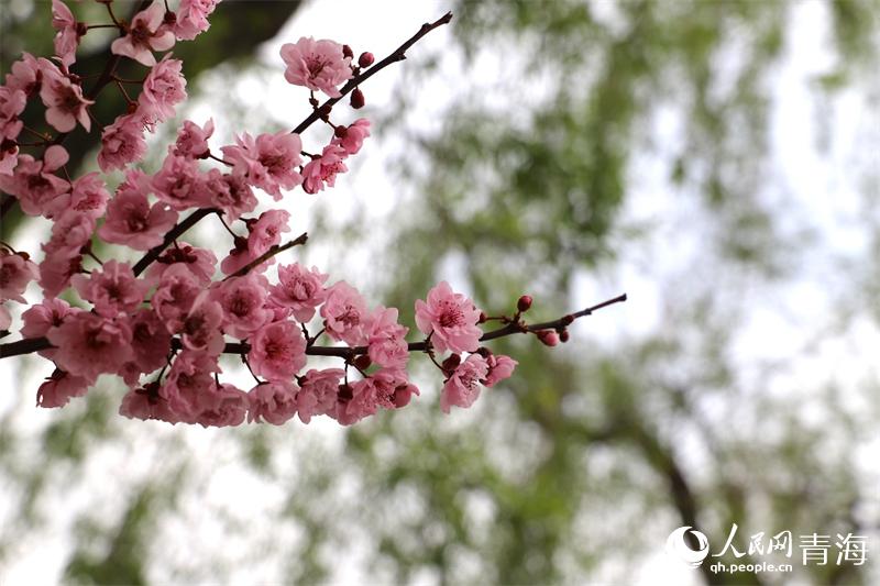 ���@��(n��i)���fʢ�_���^�p��������W(w��ng) �ʺ����z