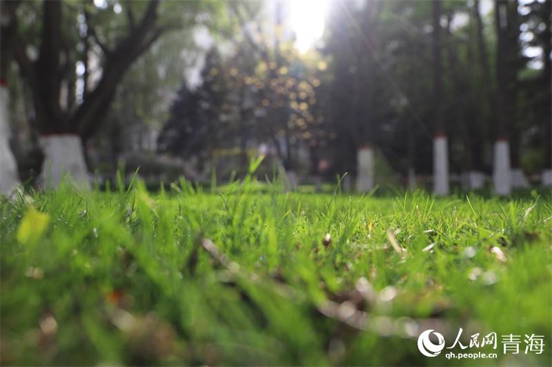 ��ꖶ��������������W(w��ng) �ʺ����z