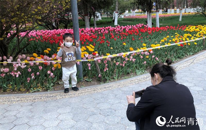 �������մ�������W(w��ng) �ʺ����z