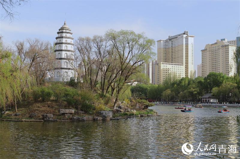 ���@�ȵ�һ������������W �ʺ����z