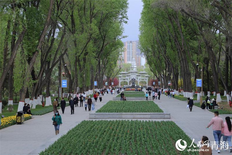 ��ԭ�ųǴ����������W(w��ng) �ʺ����z