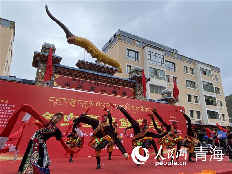 �_Ļʽ��ӬF(xi��n)��������W(w��ng) �쳷Ɣz