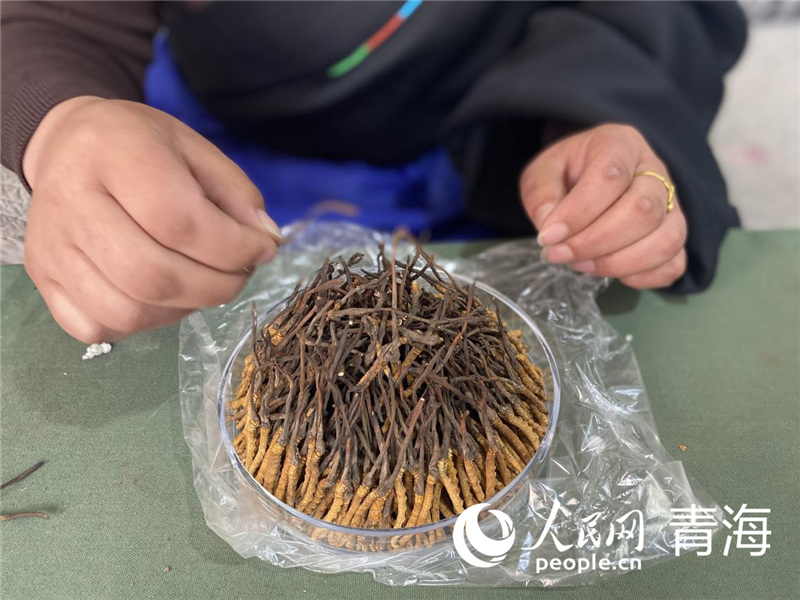 �x���̑������M(j��n)���x�ݔ[�P������W(w��ng) �쳷Ɣz