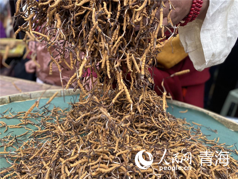 ���r�x(ch��ng)��������W(w��ng) �쳷Ɣz