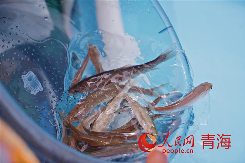 �ຣ������������W(w��ng) ����M�z