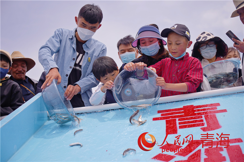 裸鯉增殖放流現(xiàn)場。人民網(wǎng) 張皓芃攝