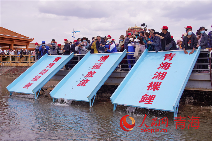 ������ֳ�����F(xi��n)��������W(w��ng) ����M�z