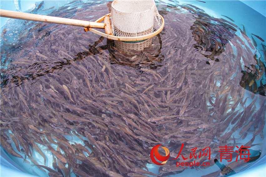 �ຣ������������W(w��ng) ����M�z