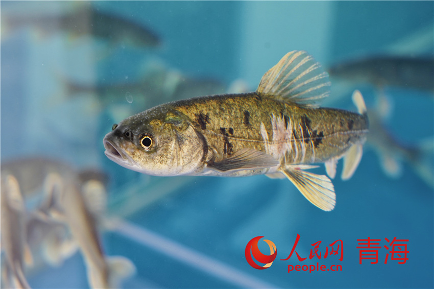 �ຣ������������W ����M�z