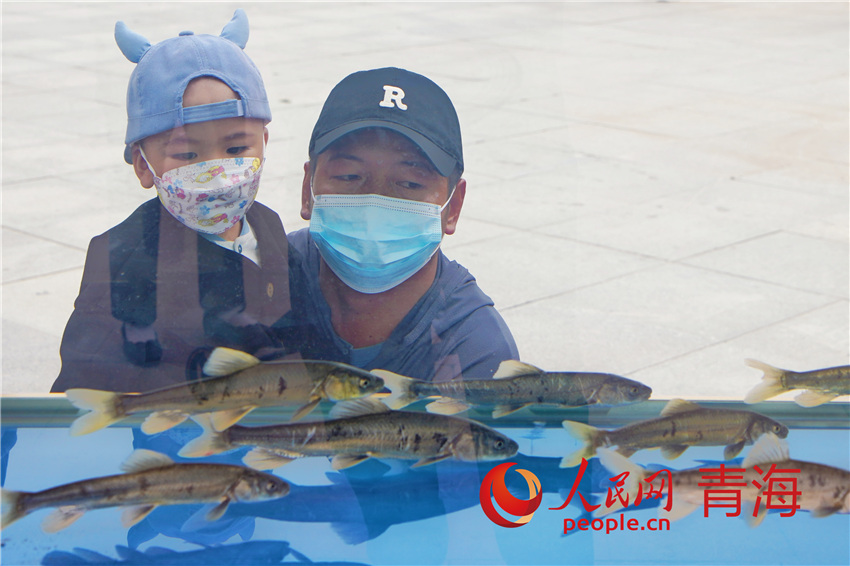 ������ֳ�����F(xi��n)��������W(w��ng) ����M�z