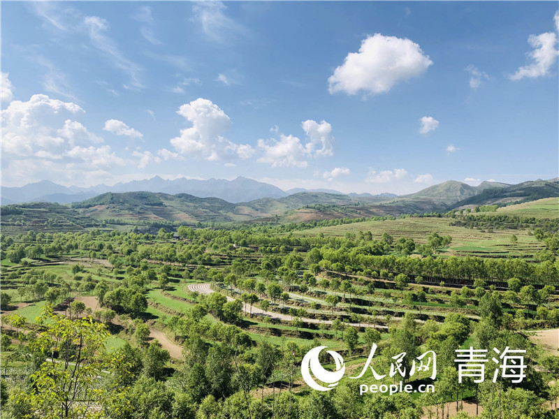 С���������������W ����Ȼ�z