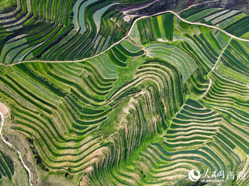 ���Ŀ��������W(w��ng) ����M�z