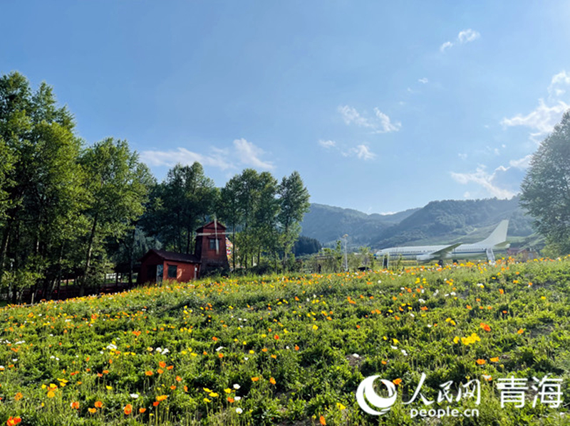 Ұ��ʢ�_(k��i)������W(w��ng) �쳷Ɣz