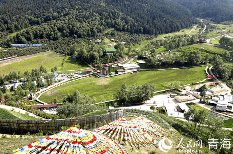 ����(y��ng)����������W(w��ng) �쳷Ɣz