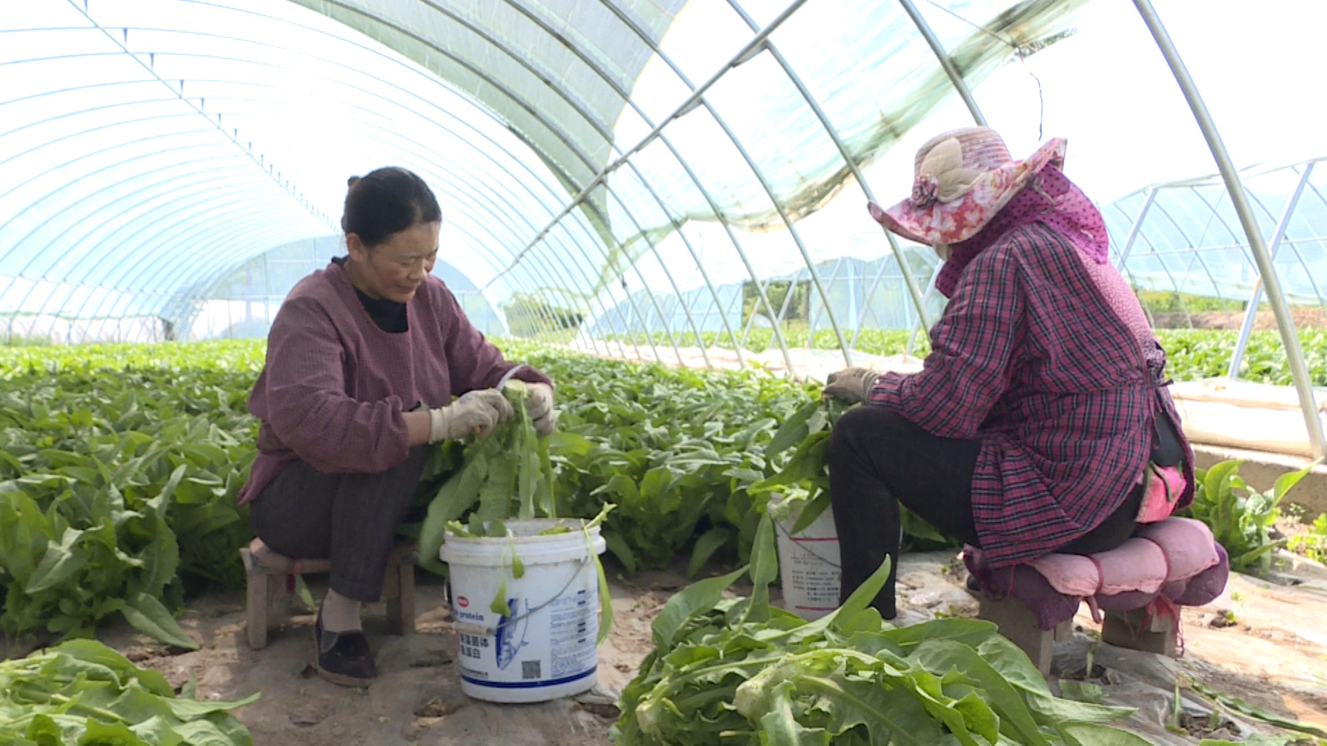 �������L��ϲ�������Ѕ^(q��)ί���������D