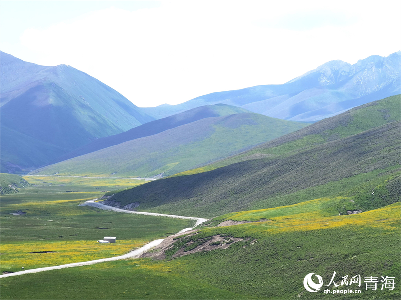 䬺�Դ���ҝ�ع��@�L(f��ng)�����Z�S�S�z