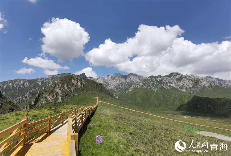 洮河源國家濕地公園風(fēng)光。賈豐豐攝