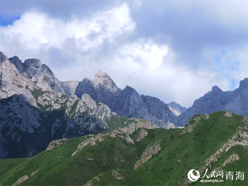 洮河源國家濕地公園風(fēng)光。賈豐豐攝