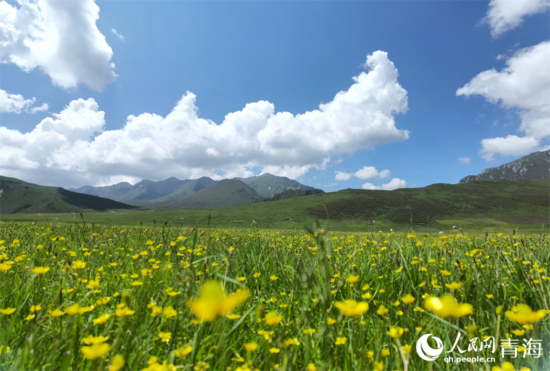 䬺�Դ���ҝ�ع��@�L�����Z�S�S�z