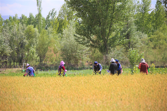 �S�Ӟ�����S��?q��ng)D�����F�¿hί���������D