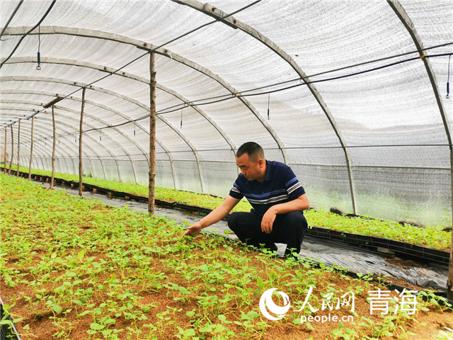 ��ռ�������^��Ó������L(zh��ng)��(sh��)������W(w��ng) ��t�z