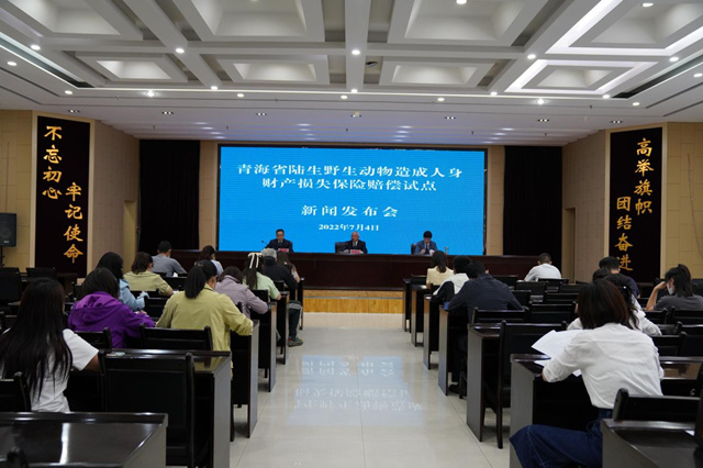 發(fā)布會現(xiàn)場。青海省林業(yè)和草原局供圖