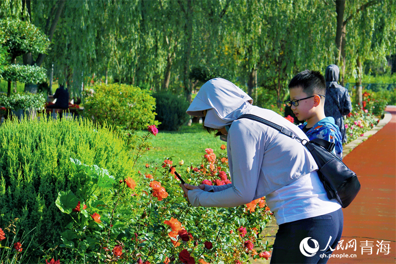 游客賞花。人民網(wǎng) 況玉攝