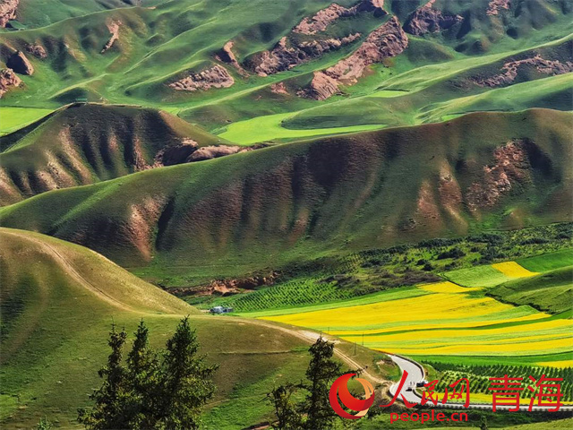 祁連山的秀美曲線。本報記者 姜峰攝