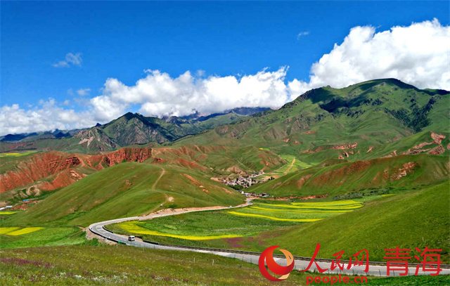 夏日祁連。本報記者 姜峰攝