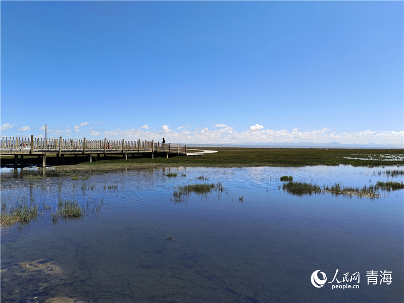   青海湖仙女灣。人民網(wǎng) 張莉萍攝