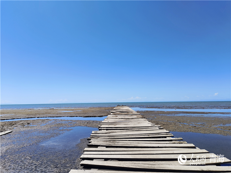   青海湖仙女灣。人民網(wǎng) 張莉萍攝