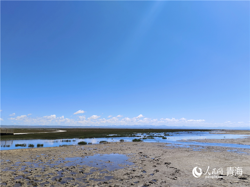   青海湖仙女灣。人民網(wǎng) 張莉萍攝