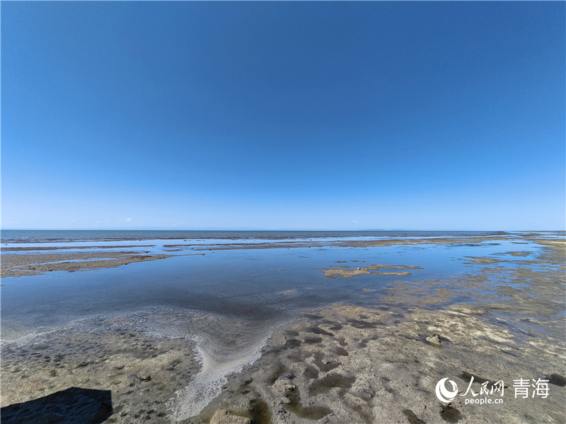   青海湖仙女灣。人民網(wǎng) 張莉萍攝