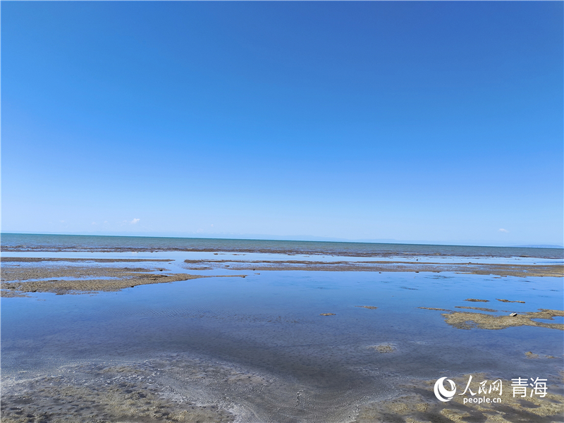   青海湖仙女灣。人民網(wǎng) 張莉萍攝