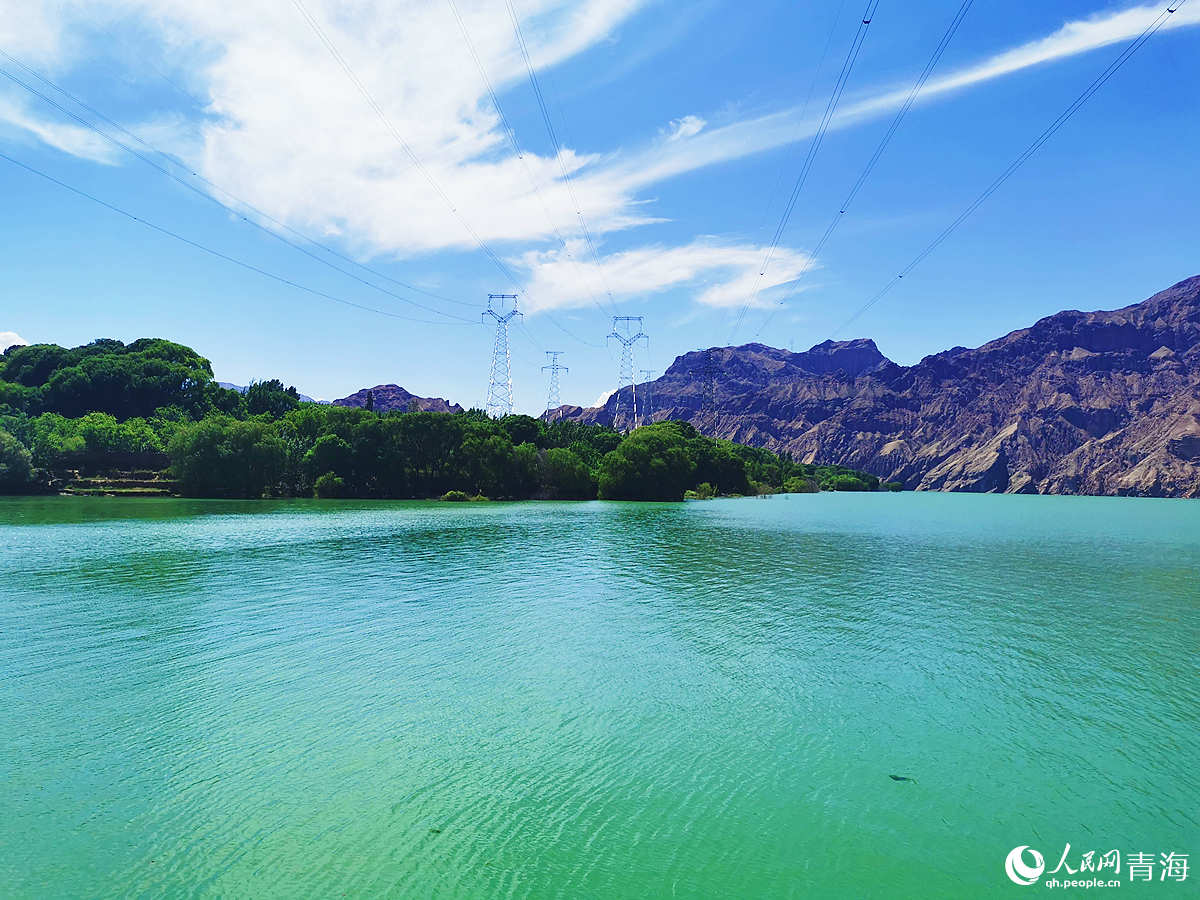 黃河流經(jīng)下莊村。人民網(wǎng) 楊啟紅攝