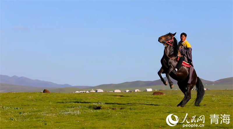 貴南草原。人民網(wǎng) 張皓芃攝
